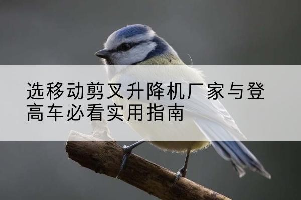 江北电动升降机厂家-选移动剪叉升降机厂家与登高车必看实用指南