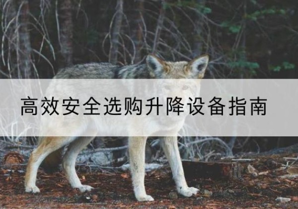 江北升降货梯厂家推荐-*安全选购升降设备指南