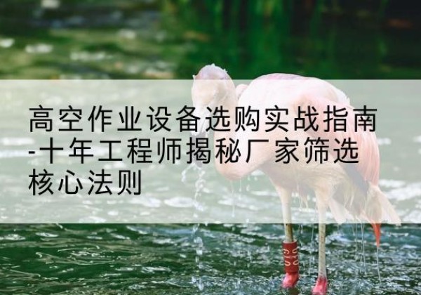 江北剪叉式升降机厂家-高空作业设备选购实战指南-十年工程师揭秘厂家筛选核心法则